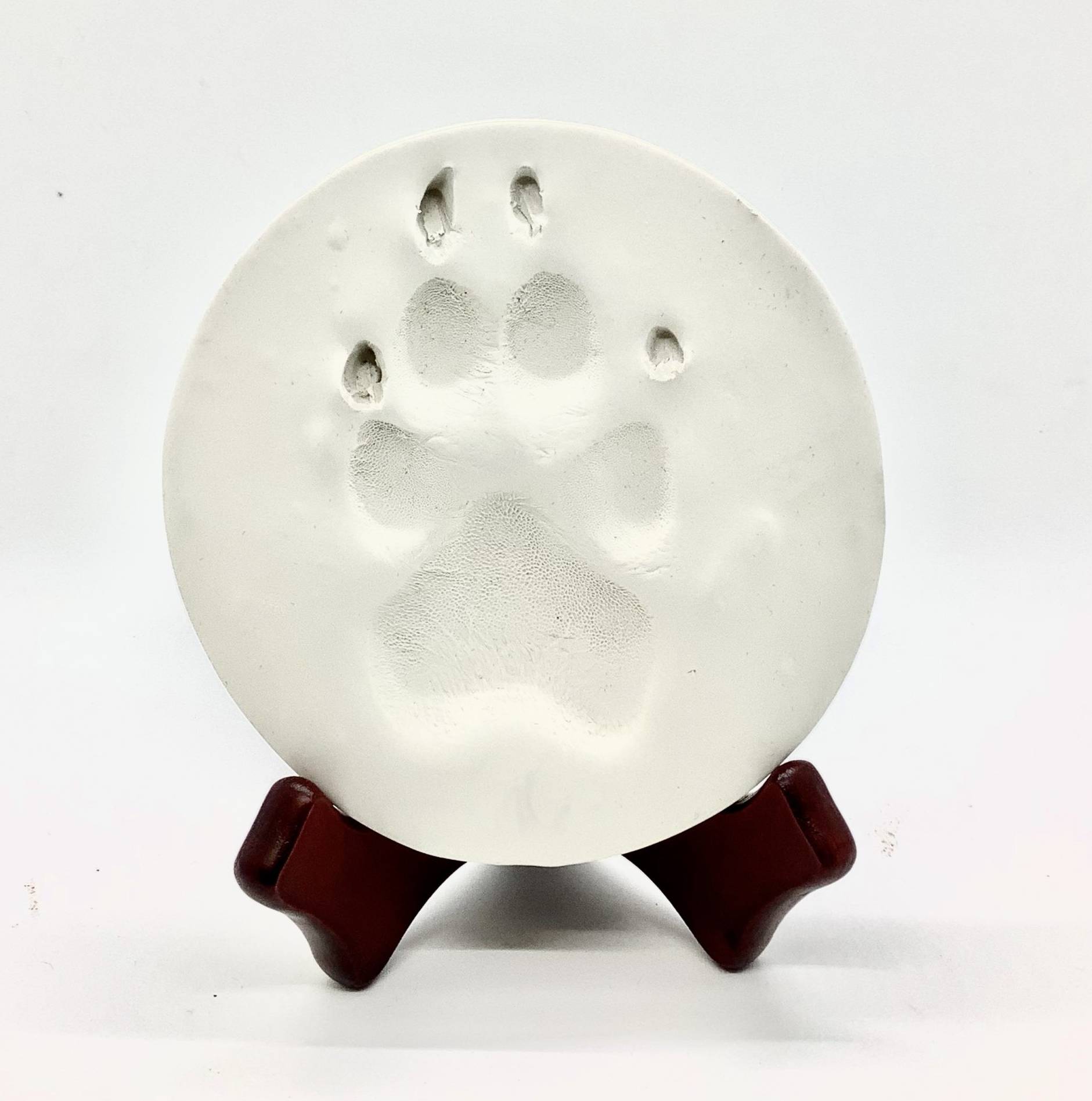 paw print