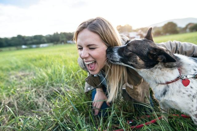 dog kiss