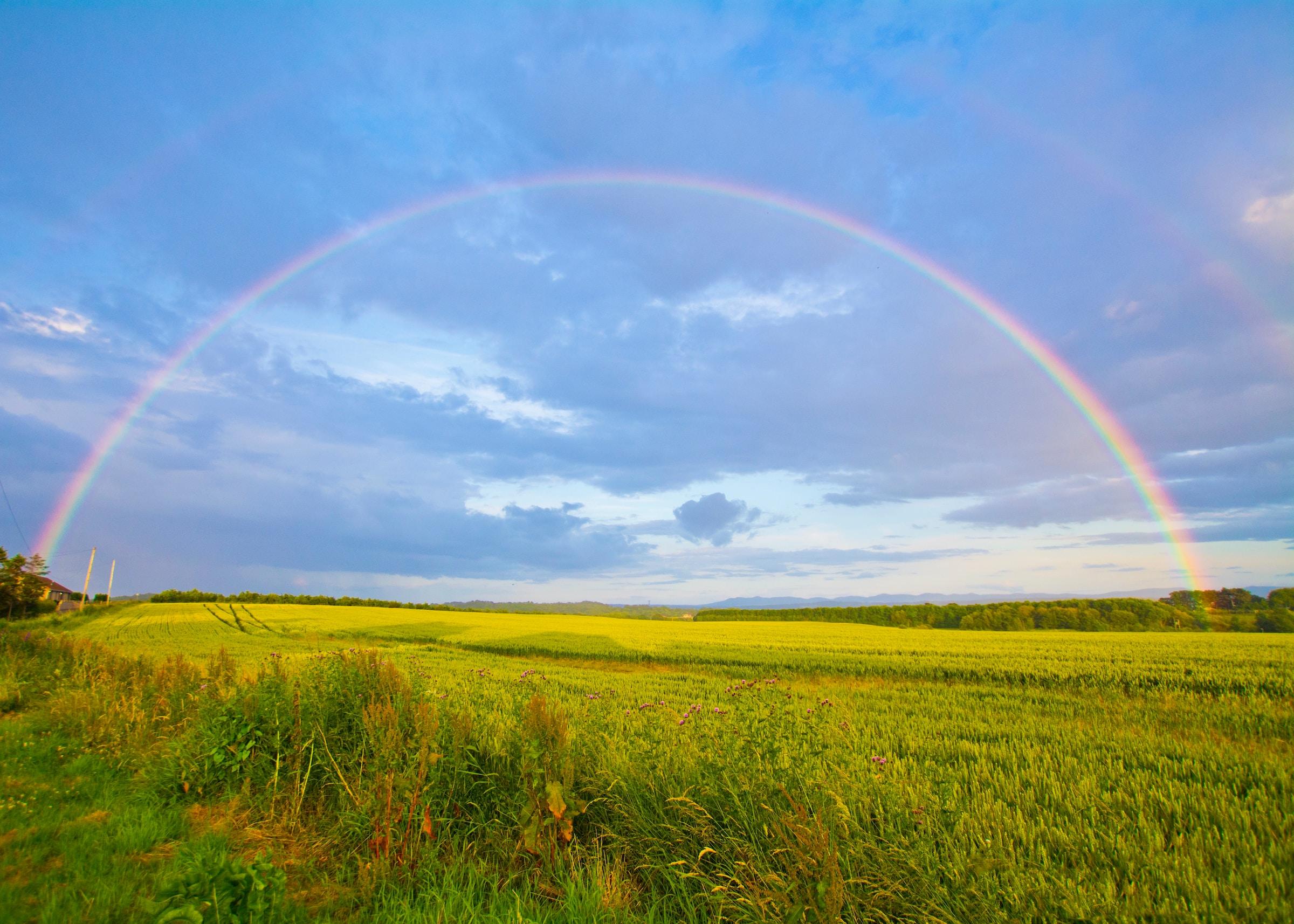 rainbow